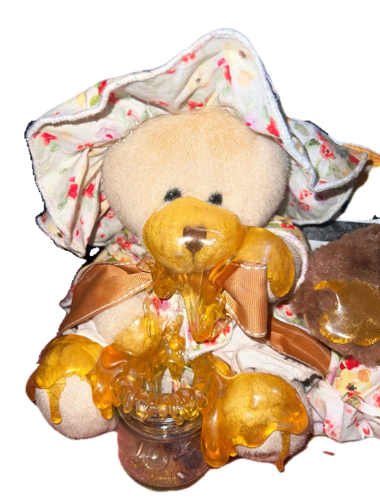 Award-Winning "Honey Bear" Artist Pair – OOAK Handmade in Maleny, QLD