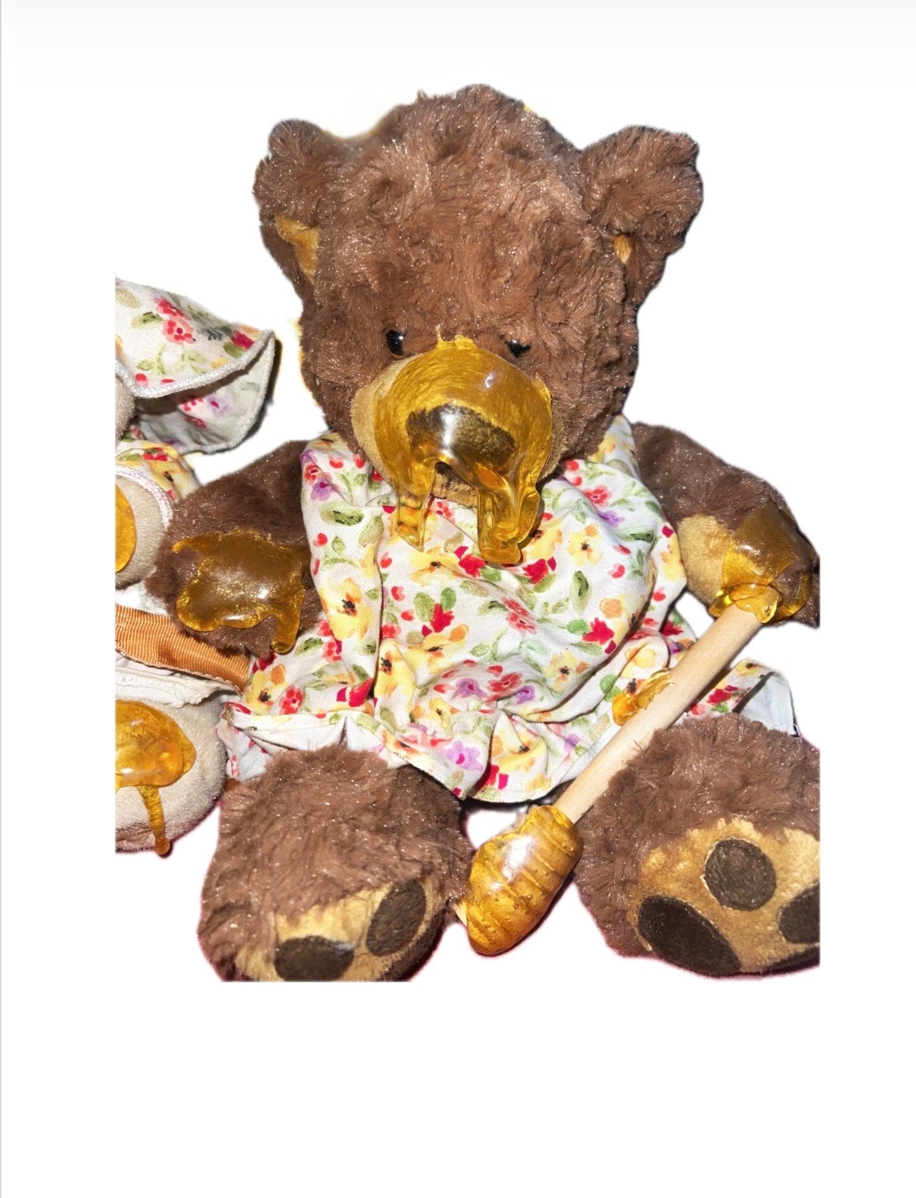 Award-Winning "Honey Bear" Artist Pair – OOAK Handmade in Maleny, QLD